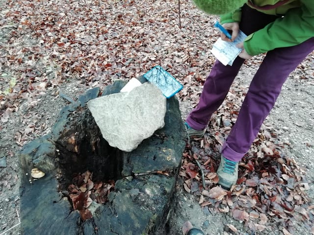 "P" in Purkersdorf
