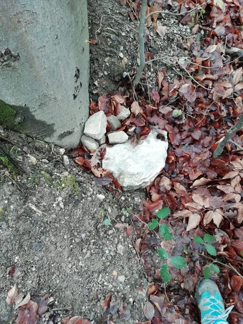"P" in Purkersdorf