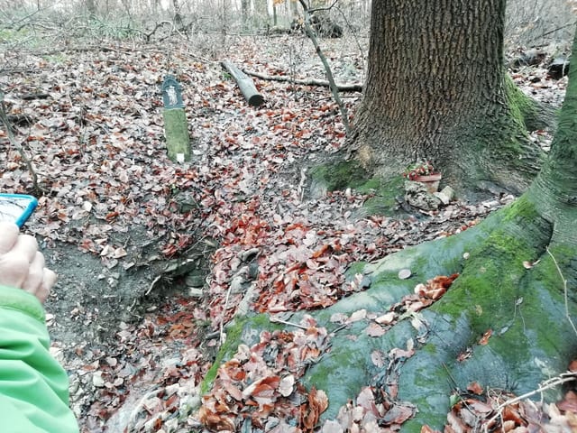 "P" in Purkersdorf