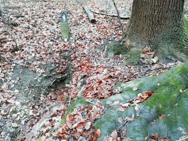 "P" in Purkersdorf