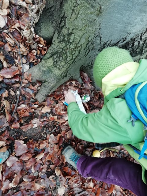 "P" in Purkersdorf
