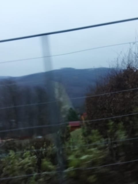 "P" in Purkersdorf