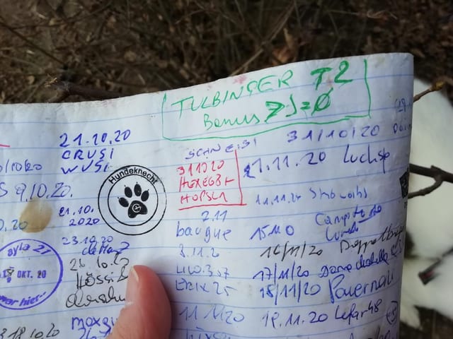 Tulbinger T