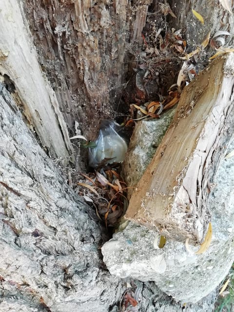 Versteck - nicht nur Natur