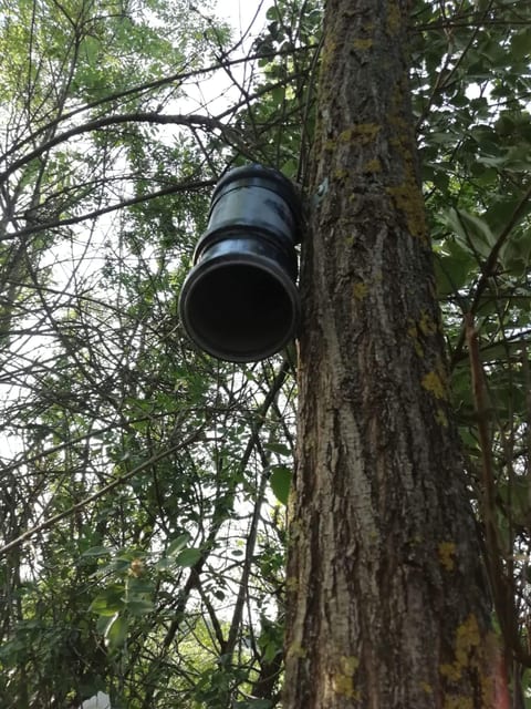 offnener Geocache