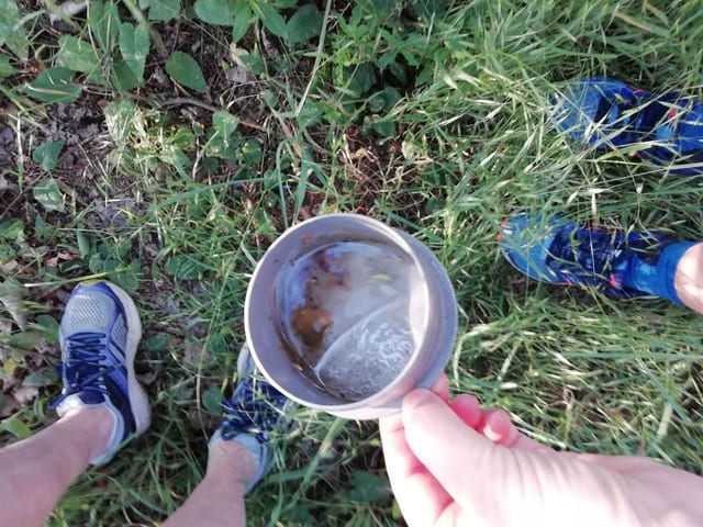 Deckel