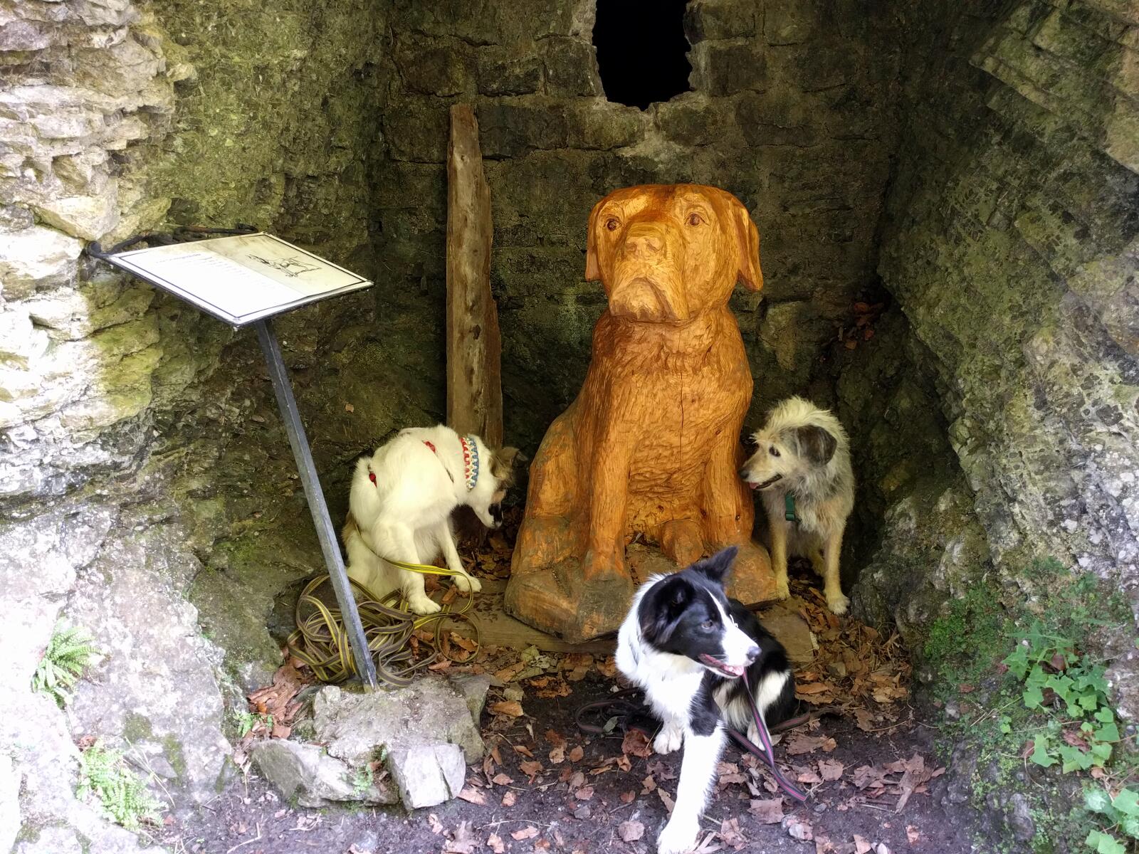 Kira, Mara und Morgan sitzen neben dem aus Holz geschnitzten Toreggwald Hund