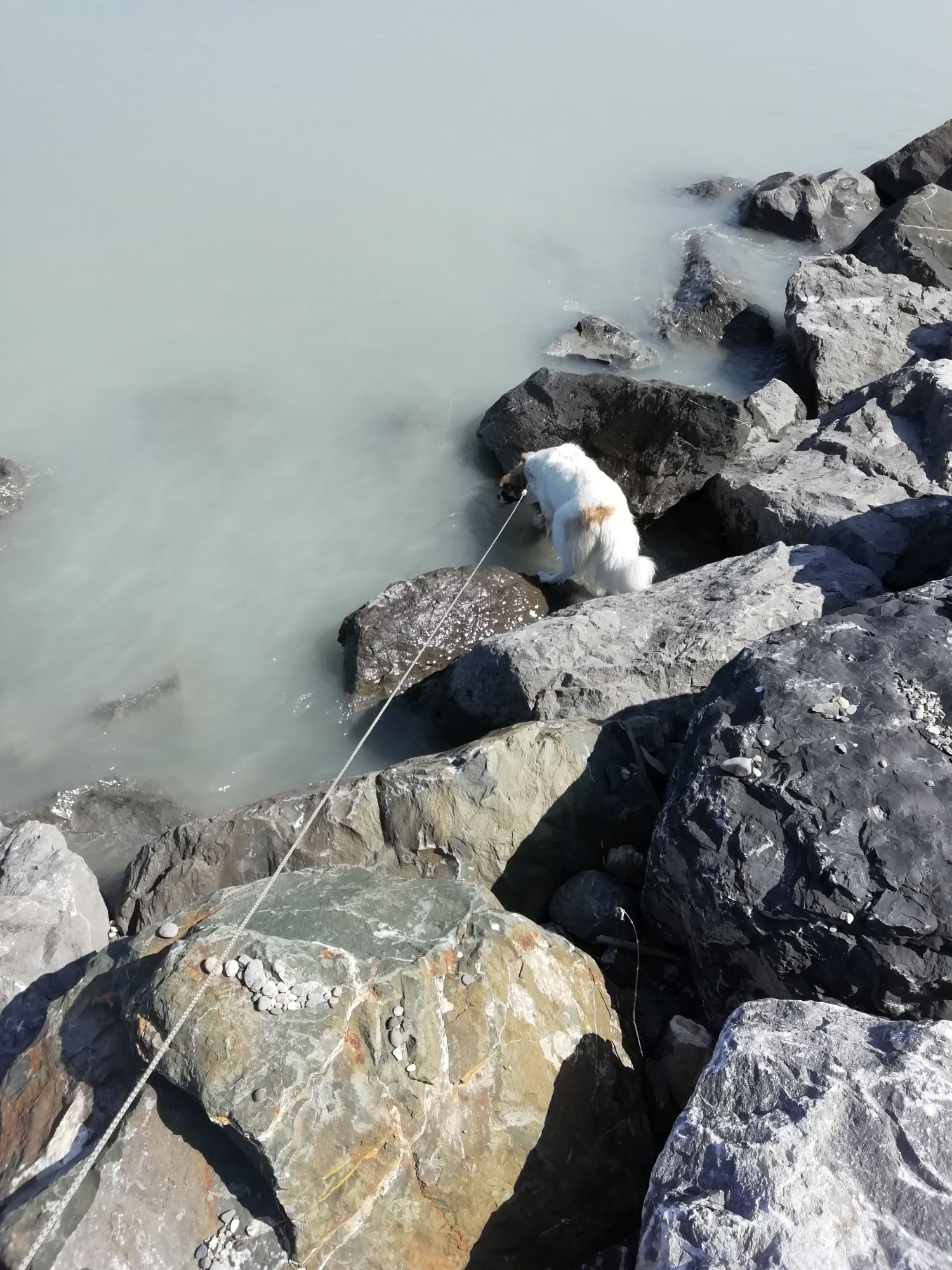 Mara bei den Steinen vom See